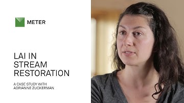 LP 80: Easy Leaf Area Index and PAR Measurements