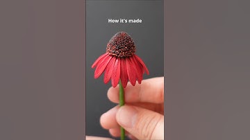 Making Paper Quilling Coneflower