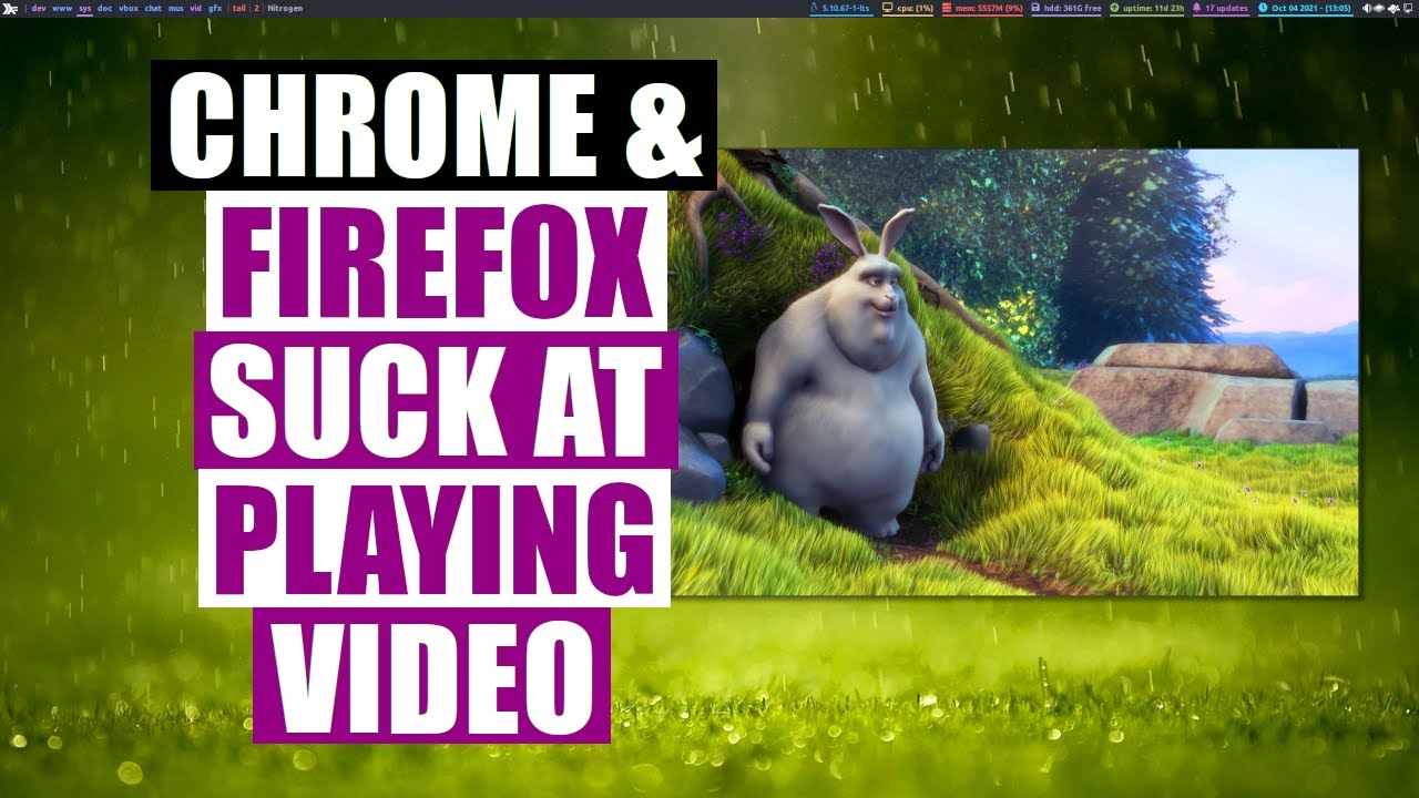 Video Playback In Linux Web Browsers SUCKS!