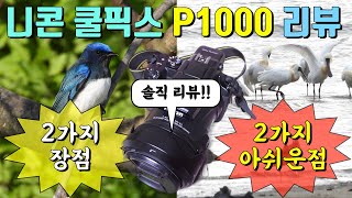Nikon Coolpix P1000 review: camera for beginning birders