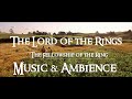 The Lord of the Rings - The Fellowship of the Ring | Music &amp; Ambience