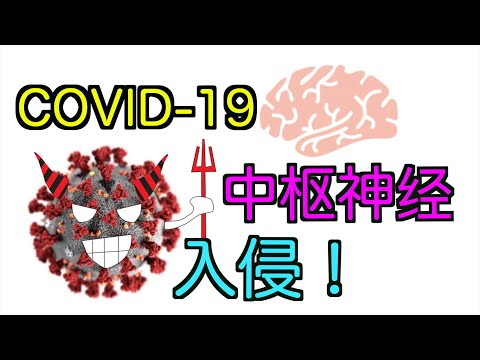 新冠病毒如何感染神经系统？How does Covid-19 invade central nervous system?【TT YaYa】