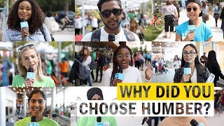 Why Did You Choose Humber?