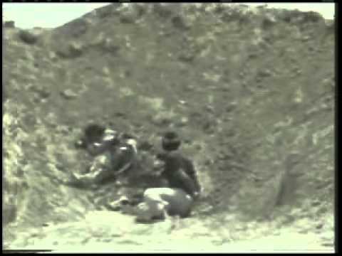 Saddam Tortures.flv