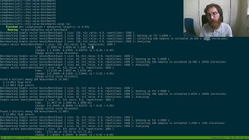Benchmark in Rust, what is faster, Vector or HashMap