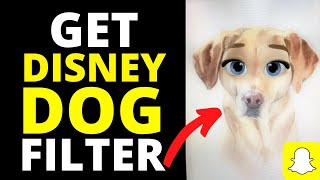 How To Get The Disney Dog Filter On Snapchat | Disney Dog Filter Snapchat/Tiktok 2020 screenshot 4