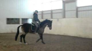 Basic Flatwork school