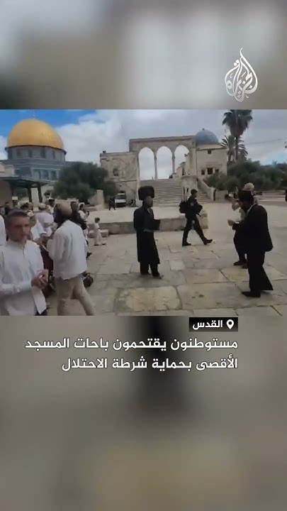        
 - نشر قبل 5 دقيقة
