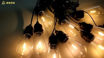 Edsion bulb  S14 string light 101: everything you wanted to know