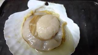 ホタテ貝を焼く動画1