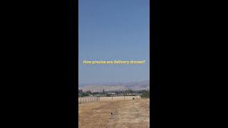 How Precise Are Wing's Delivery Drones??