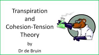 3.1.3 (Chapter 9) - Transpiration and Cohesion-Tension Theory - OCR A-level Biology A