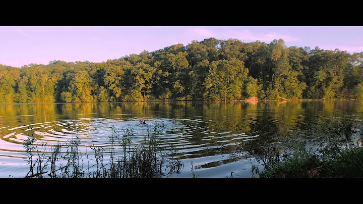 Noah Gundersen - Ledges [OFFICIAL VIDEO]