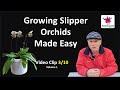 Episode 82  3  growing slipper orchids made easy volume 1   clip 3