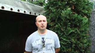 Минские голуби с Леонидом Добровольским 2010_1
