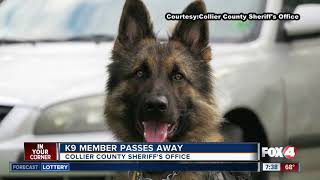 Collier County Sheriff's K9 passes away