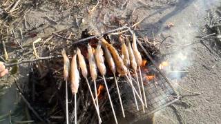 ハゼの 塩焼きっ Youtube ハゼの 塩焼きっ Youtube