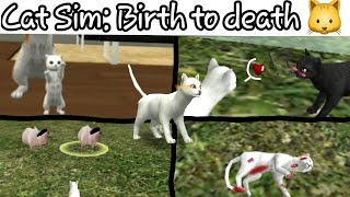 Cat Sim: birth to death || story 🐱 screenshot 5
