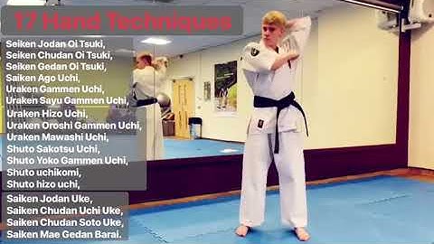 17 Hand Techniques - BKK Mountain Ash