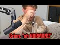 Grian gets distracted by solidaritys cat