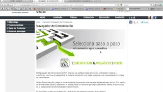 CNS-Cementation Navigation System