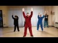 Wu Xing (Five Elements) Qi Gong - 五行 气功 - Master Giuseppe Paterniti Lupo