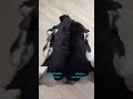 шкуры