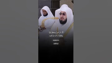 وَإِذَا جَاۤءَكَ ٱلَّذِینَ یُؤۡمِنُونَ بِـَٔایَـٰتِنَا|ماتيسر من سورة الانعام|فضيله الشيخ بندر بليله