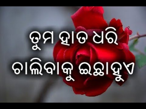 Love Shayari Romantic Shayari Odia Love Shayari Love Quotes