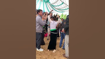 Cuốn quá Các Nàng Gái Thái ơi#shots nhảy đám cưới 26