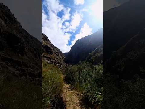 Into the kloof (ravine) #hiking  #hikingadventures #kloof #ravine #fynbos #nature