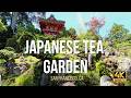 Zen 4k Walk in San Francisco’s Japanese Tea Garden background ambiance ♪
