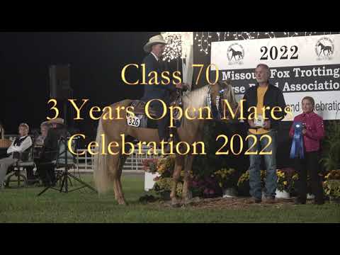 WC Open 3 Years Mares 2022 Missouri Foxtrotter Celebration