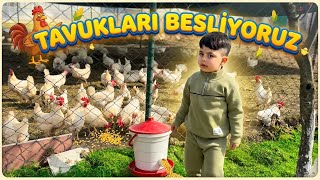 MERT HÜSEYİN TAVUKLARI BESLEDİ 🐓🐥♥️☺️