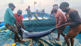 இந்திய கடலோர காவல்படை படகை சுற்றி வந்தது|3rd day stay Big fish catching in deep sea|Episode-16