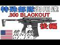 【ゆっくり解説】珍銃ハンターvol .15-2　特殊部隊御用達　.300BLK