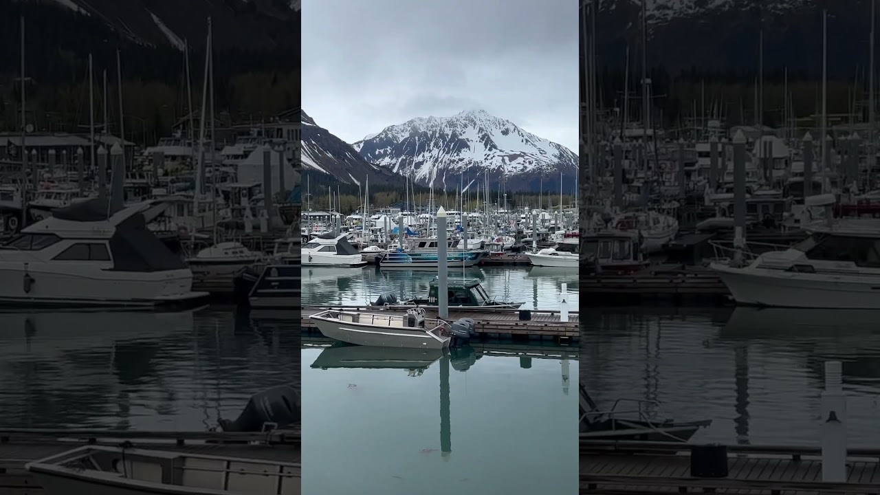 Seward Small Boat Harbor, Seward Alaska. 