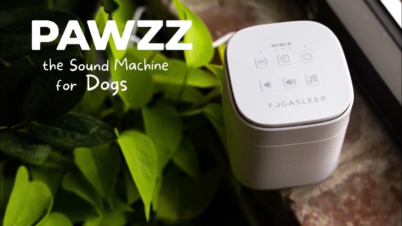 Pawzz White Noise for Dogs (and other anxious pets) YouTube