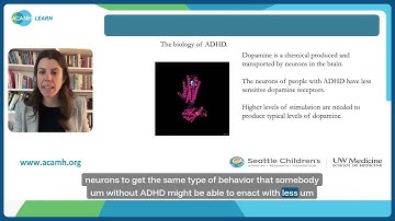 Increasing self-motivation in young people with ADHD - Executive Function - Prof Margaret Sibley