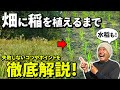 【永久保存版】水稲／陸稲の田植え完了までを完全解説‼︎（※実践あり）