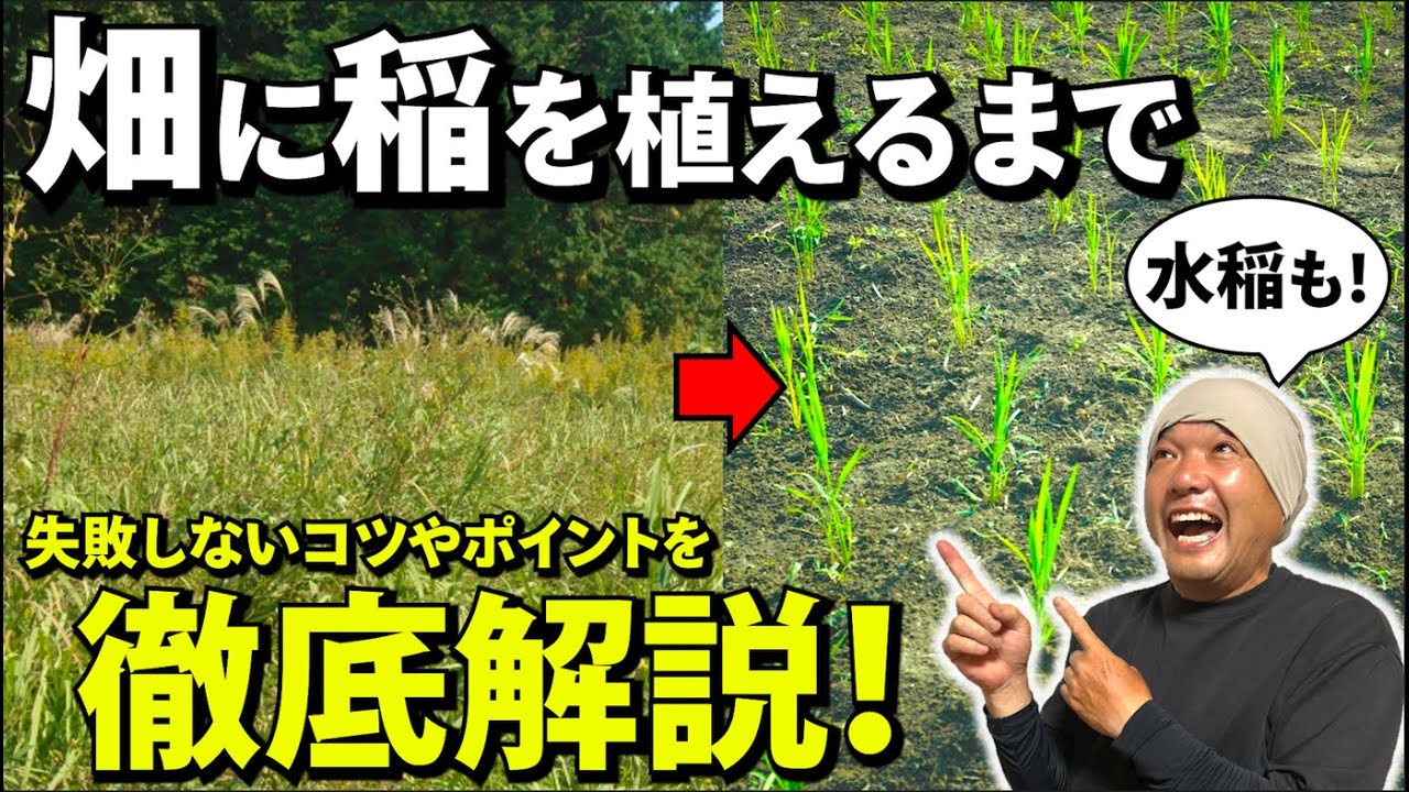 【永久保存版】水稲／陸稲の田植え完了までを完全解説‼︎（※実践あり）