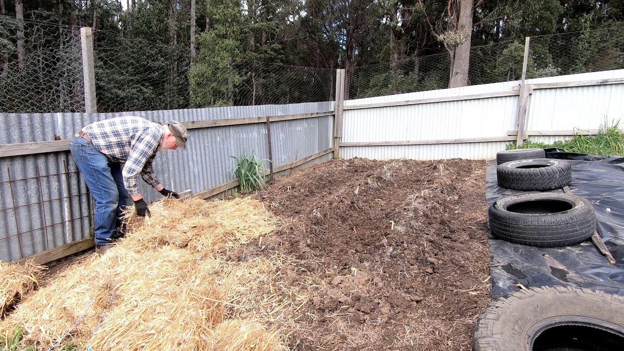 Starting EARLY Potatoes...