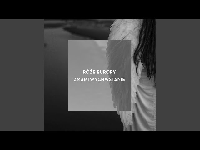 RÓŻE EUROPY - LODOŁAMACZ Z GWADELUPY