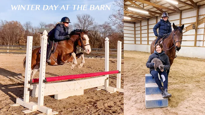 CRAZY WINTER DAY BARN VLOG