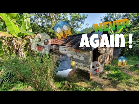 This Happened In St Elizabeth Jamaica! Vlog #1