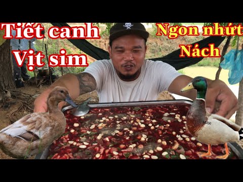 Tiết canh vịt sim ngon tuyệt vời || gỏi tai heo siêu to cùng tem thợ hồ ...
