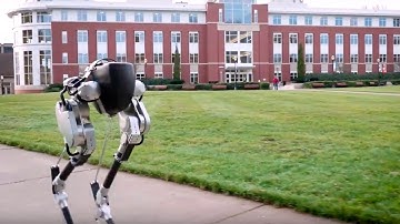 Cassie the bipedal ostrich bot