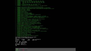 NetBSD/hp300 10.99.10 on MAME ver 0.265 hp9k370 emulation