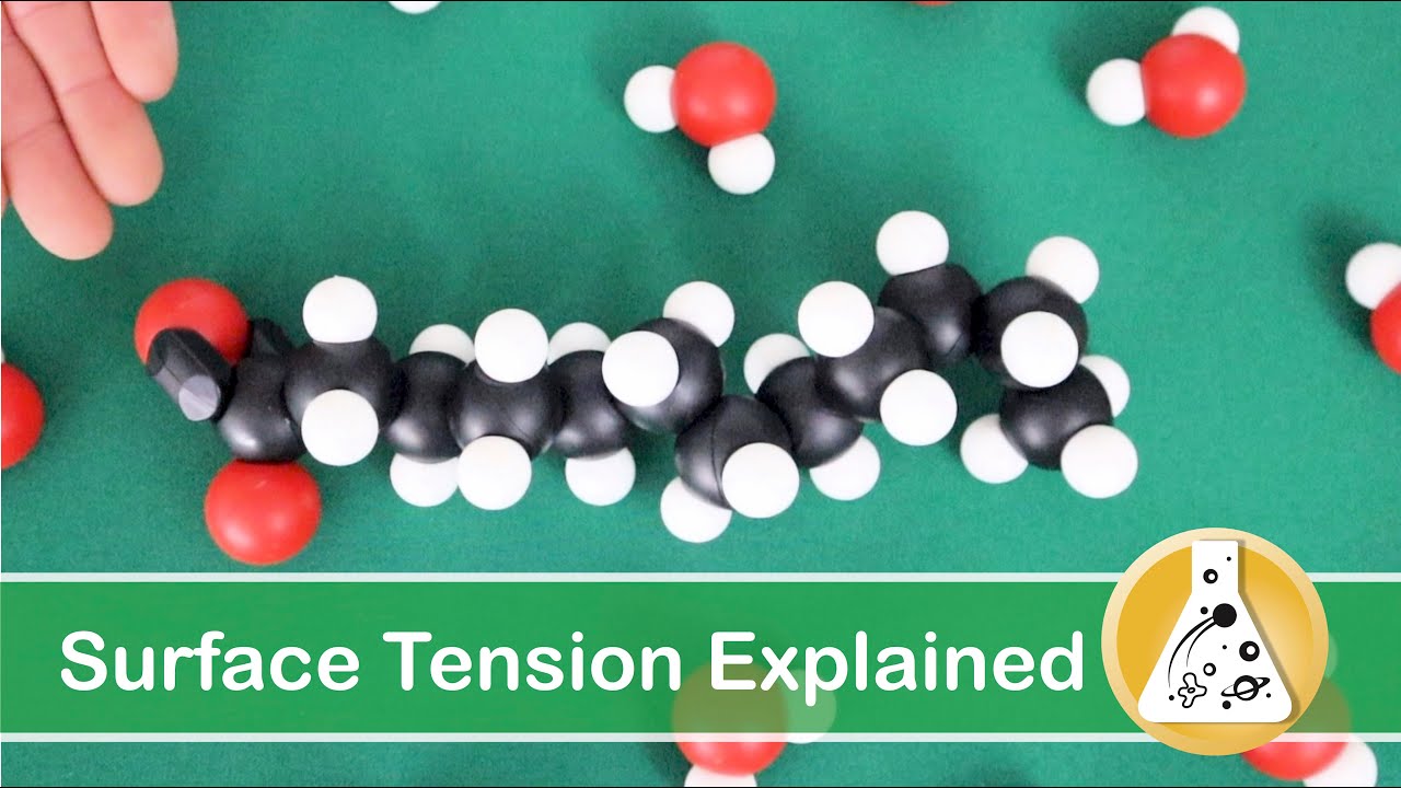 Surface Tension Explained In Depth Review For Parents And Teachers