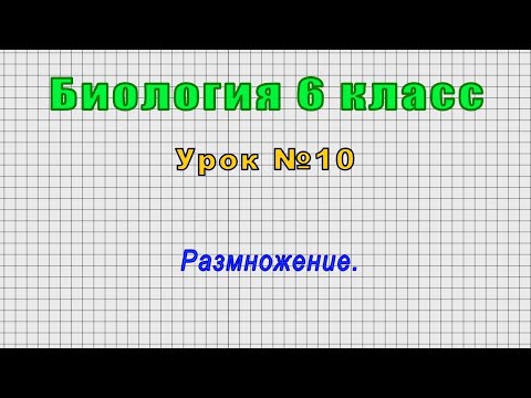 Биология 6 класс (Урок№10 - Размножение.)